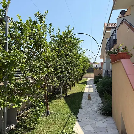 Ante 4* Ангри